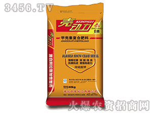 ���ɻ���-�ך��؏ͺϷʣ�15-8-25��