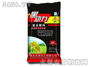 ���ɻ���-�ͺϷ���22-8-10-�ڄ���