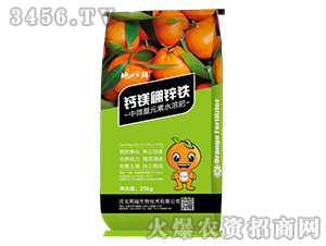 �}�V���\�F-�ذ��r-��Խ����