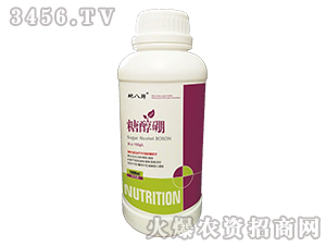 �Ǵ���-�ذ��r-��Խ����