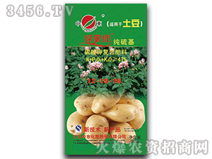 �����m������⛏�(f��)�Ϸ���12-19-16-�G����-�Ж|