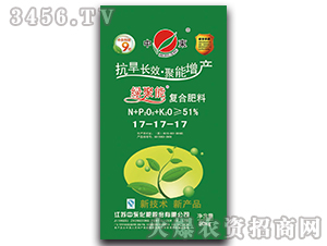 ��(f��)�Ϸ���17-17-17-�G����-�Ж|