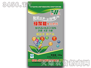 ��(f��)�Ϸ���28-12-10-�G����-����