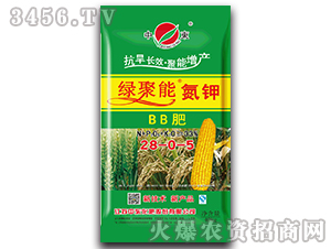 ���BB��28-0-5-�G����-�Ж|