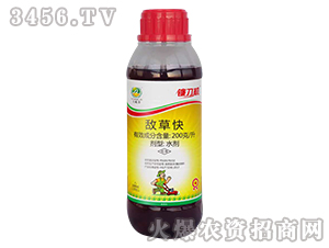 �����Գ��݄�-砵��C(j��)-���ɽ�