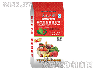 ϡ�����Ϗ�(f��)�Ϸ���-���ﻨ���-���R