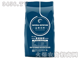 �S�����-���R