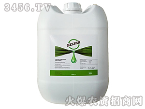 Kelpak-�Ϸ�ԭ�b�M(j��n)�ں�����-�����r(n��ng)�I(y��)