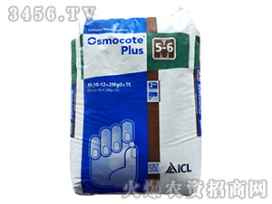 �W�G��501̖-�����r(n��ng)�I(y��)