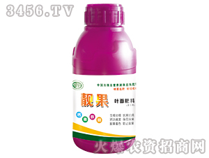 �n���~�����-�������