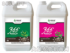 365�������1-�ں�����