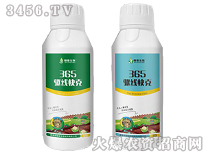 �(q��)�����-�ں�����