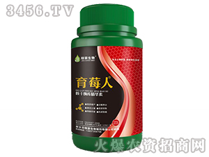 ��ݮ��-�ں�����