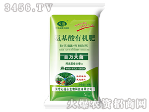 �������ЙC��-���B��