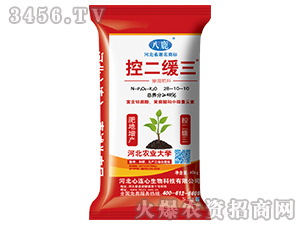 �ض�����28-10-10-���B��