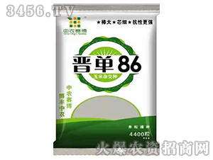 �����s���N-�x��86-���S�r(n��ng)�I(y��)