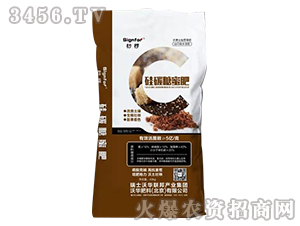 ��̼���۷�-����-���A����