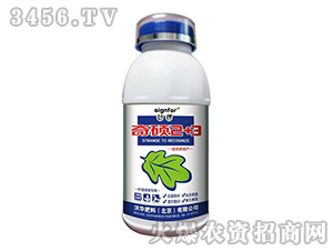 ��T2+3���~�懊ʩ���ã�-����-���A����