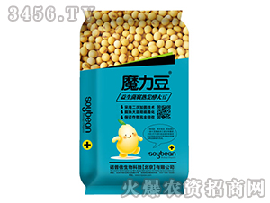 ����������l(f��)�ʹ󶹾���-ħ����-�Z����