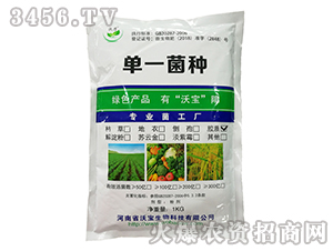 ��һ���N-�֌�����