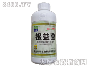 �ߝ�s��(f��)��΢�������-�����-�´�����