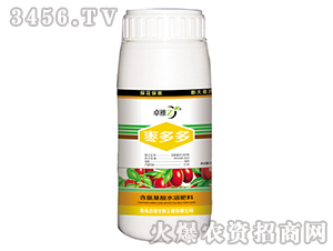 �����-׿��-����