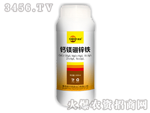 �}�V���\�F-�Z����