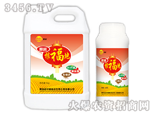 ������-����-�Z����