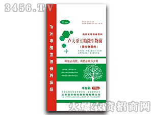 ����΢�������-�R���-ϲ�S��