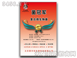 ��(f��)��΢�������-����܊-ϲ�S��