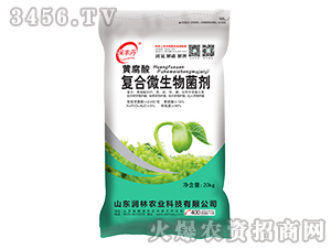 �S�����(f��)��΢�������-���S��-�����r(n��ng)�I(y��)