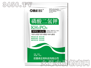 ��������-�W��ɭ