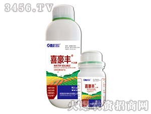 ϲ���S-ʮ��Ԫ��-�W��ɭ