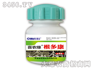 ���࿵-ϲ�r(n��ng)��-�W��ɭ