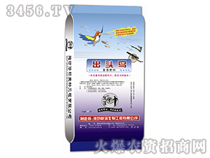 ��(f��)�����-���^�B(ni��o)-���� 