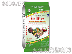 �����������һ��(f��)�����-�����x-����