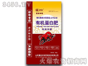 �ЙC���׷�-�����_