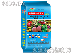 ����΢�������-�|�S-���S����