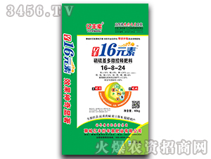 �������΢��ጷ���16-8-24-�|�S