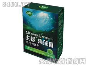 �����΢�������-�l(xi��ng)ϲ-һ��