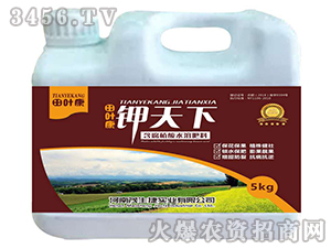 ����ֲ��ˮ�ܷ���-���~�������-ï����