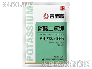 50g��������-�����-ʥ���S