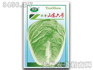 ɽ�|��̖-�ײ˷N��-�Ɖ�