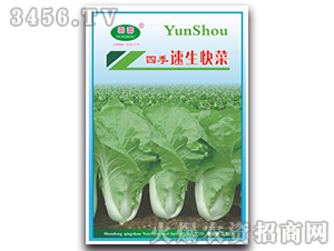 �ļ��������-�ײ˷N��-�Ɖ�