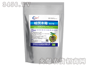 ����ľù���ӷ�-�S�T�ʘI(y��)