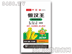 ���������25-10-10-�Нh��-����(l��)��