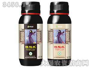 ΢�������-ø����-�ں�����