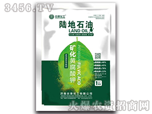 �V���S�����-ꑵ�ʯ��-��Ȫ����