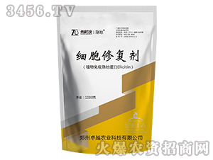 1000g��(x��)���ޏ�(f��)��-׿Խ�r(n��ng)�I(y��)