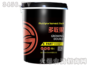 �����-���չ�-��֮��